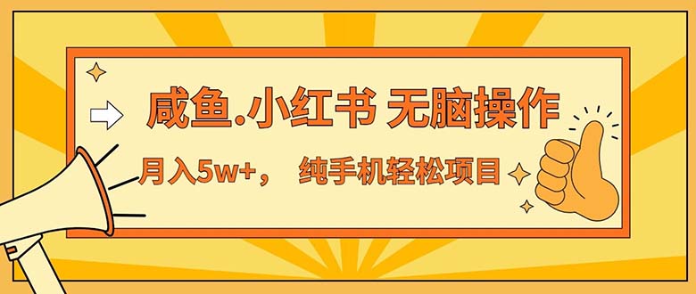 （11524期）2024最赚钱的项目，咸鱼，小红书无脑操作，每单利润500+，轻松月入5万+…，大佬商机网