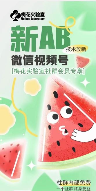 梅花实验室2024年AB技术视频号AB合成破解版，大佬商机网
