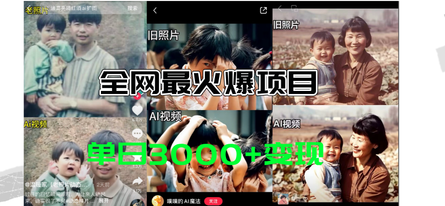 （11546期）全网爆火的AI让老照片动起来教程，蹭热点日赚3000+，内含免费工具一键…，大佬商机网