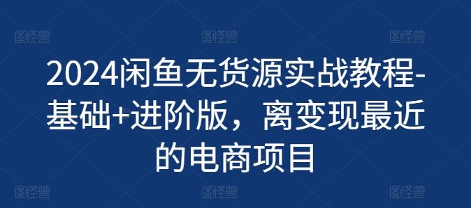 2024闲鱼无货源实战教程-基础+进阶版，离变现最近的电商项目，大佬商机网