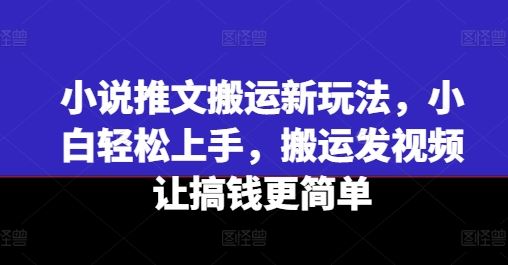 小说推文搬运新玩法，小白轻松上手，搬运发视频让搞钱更简单，大佬商机网