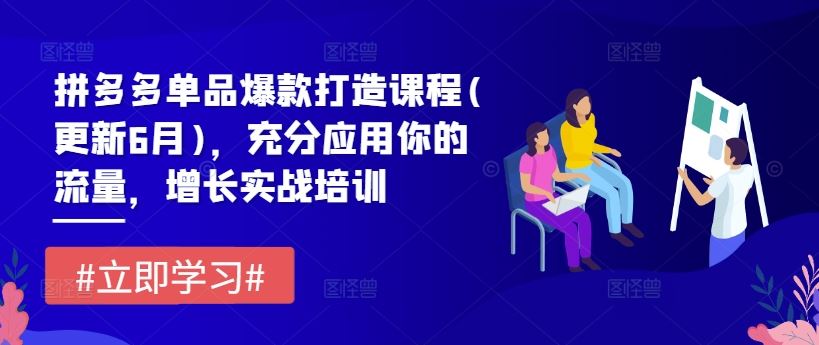 拼多多单品爆款打造课程(更新6月)，充分应用你的流量，增长实战培训，大佬商机网