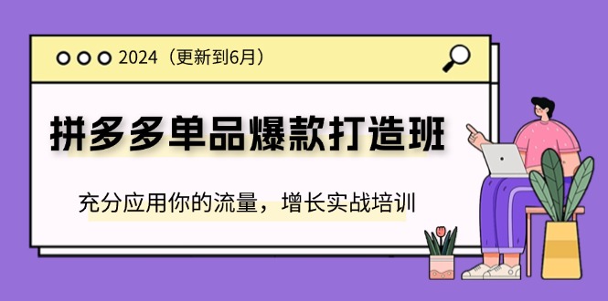 （11556期）2024拼多多-单品爆款打造班(更新6月)，充分应用你的流量，增长实战培训，大佬商机网