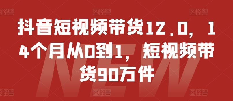 抖音短视频带货12.0，14个月从0到1，短视频带货90万件，大佬商机网