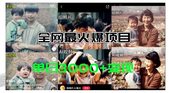 全网爆火的AI让老照片动起来教程，蹭热点日赚3k+，内含免费工具一键可生成【揭秘】，大佬商机网