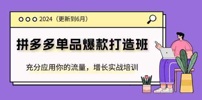 2024拼多多单品爆款打造班，充分应用你的流量，增长实战培训(更新6月)，大佬商机网
