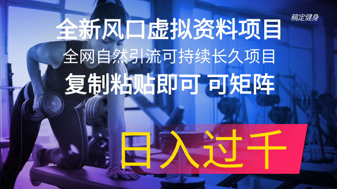 （11587期）全新风口虚拟资料项目 全网自然引流可持续长久项目 复制粘贴即可可矩阵…，大佬商机网
