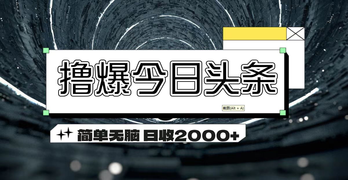 （11665期）撸爆今日头条 简单无脑操作 日收2000+，大佬商机网