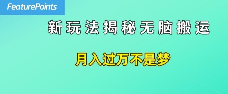 简单操作，每天50美元收入，搬运就是赚钱的秘诀【揭秘】，大佬商机网