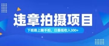 （11698期）随手拍也能赚钱？对的日入300+，大佬商机网