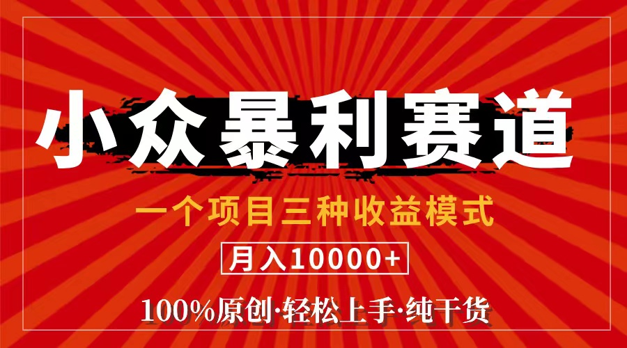 （11695期）视频号【中老年粉深信不疑】小众赛道 100%原创 手把手教学 新号3天收益…，大佬商机网