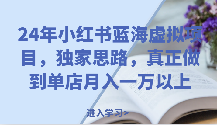 24年小红书蓝海虚拟项目，独家思路，真正做到单店月入一万以上。，大佬商机网