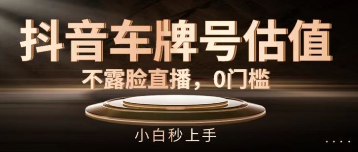 抖音车牌号估值，不露脸直播，0门槛，小白秒上手【揭秘】，大佬商机网