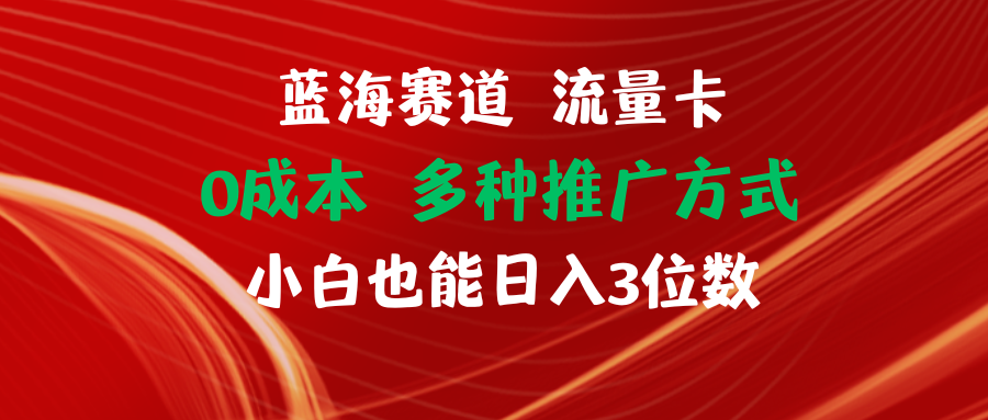 （11768期）蓝海赛道 流量卡 0成本 小白也能日入三位数，大佬商机网