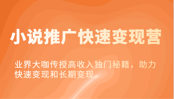 小说推广快速变现营-业界大咖传授高收入独门秘籍，助力快速变现和长期变现。，大佬商机网