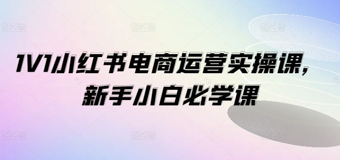 1V1小红书电商运营实操课，新手小白必学课，大佬商机网