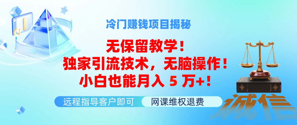 （11864期）冷门赚钱项目无保留教学！独家引流技术，无脑操作！小白也能月入5万+！，大佬商机网