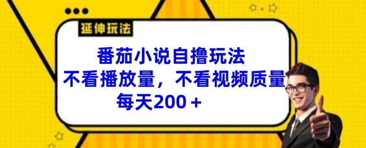 番茄小说自撸玩法，不看播放量，不看视频质量，每天200+【揭秘】，大佬商机网