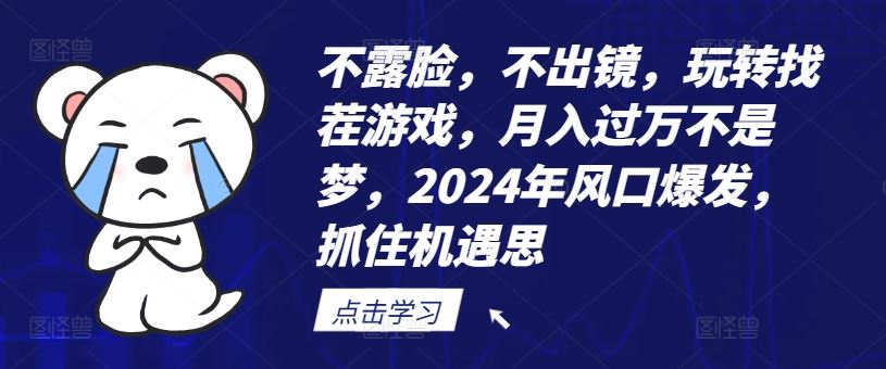 不露脸，不出镜，玩转找茬游戏，月入过万不是梦，2024年风口爆发，抓住机遇【揭秘】，大佬商机网