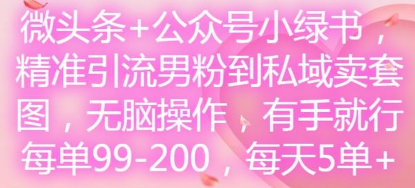 微头条+公众号小绿书，精准引流男粉到私域卖套图，无脑操作，有手就行，每单99-200，每天5单，大佬商机网