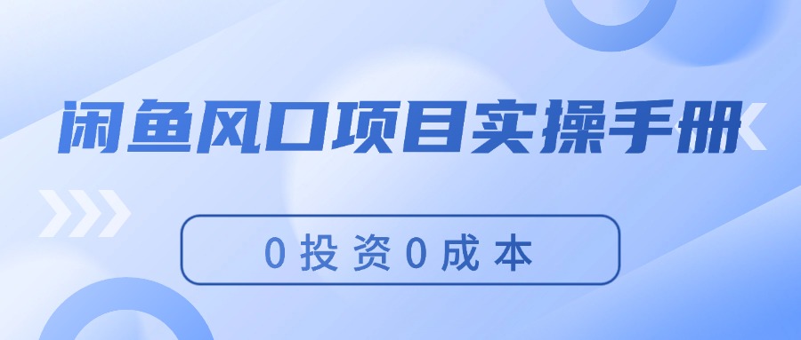 （11923期）闲鱼风口项目实操手册，0投资0成本，让你做到，月入过万，新手可做，大佬商机网