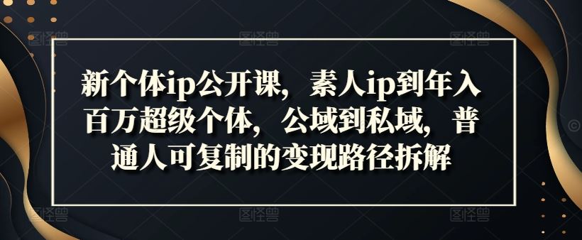 新个体ip公开课，素人ip到年入百万超级个体，公域到私域，普通人可复制的变现路径拆解，大佬商机网