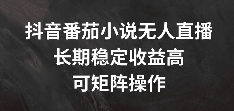 抖音番茄小说无人直播，长期稳定收益高，可矩阵操作【揭秘】，大佬商机网