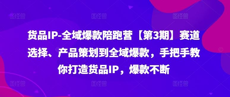 货品IP全域爆款陪跑营【第3期】赛道选择、产品策划到全域爆款，手把手教你打造货品IP，爆款不断，大佬商机网