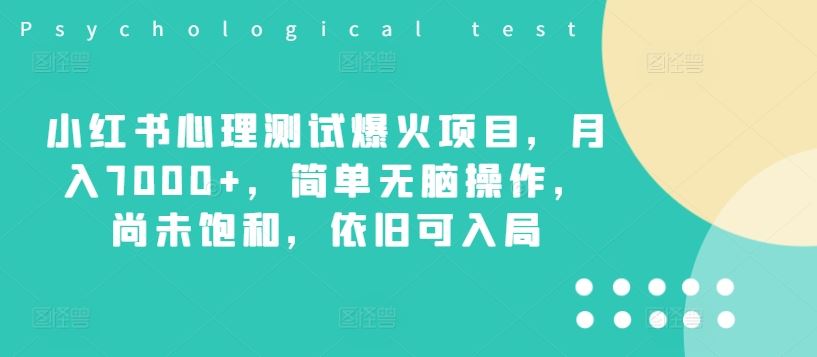 小红书心理测试爆火项目，月入7000+，简单无脑操作，尚未饱和，依旧可入局，大佬商机网