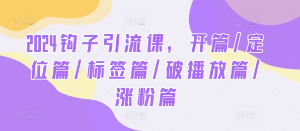 2024钩子引流课，开篇/定位篇/标签篇/破播放篇/涨粉篇，大佬商机网