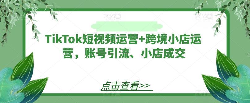 TikTok短视频运营+跨境小店运营，账号引流、小店成交，大佬商机网