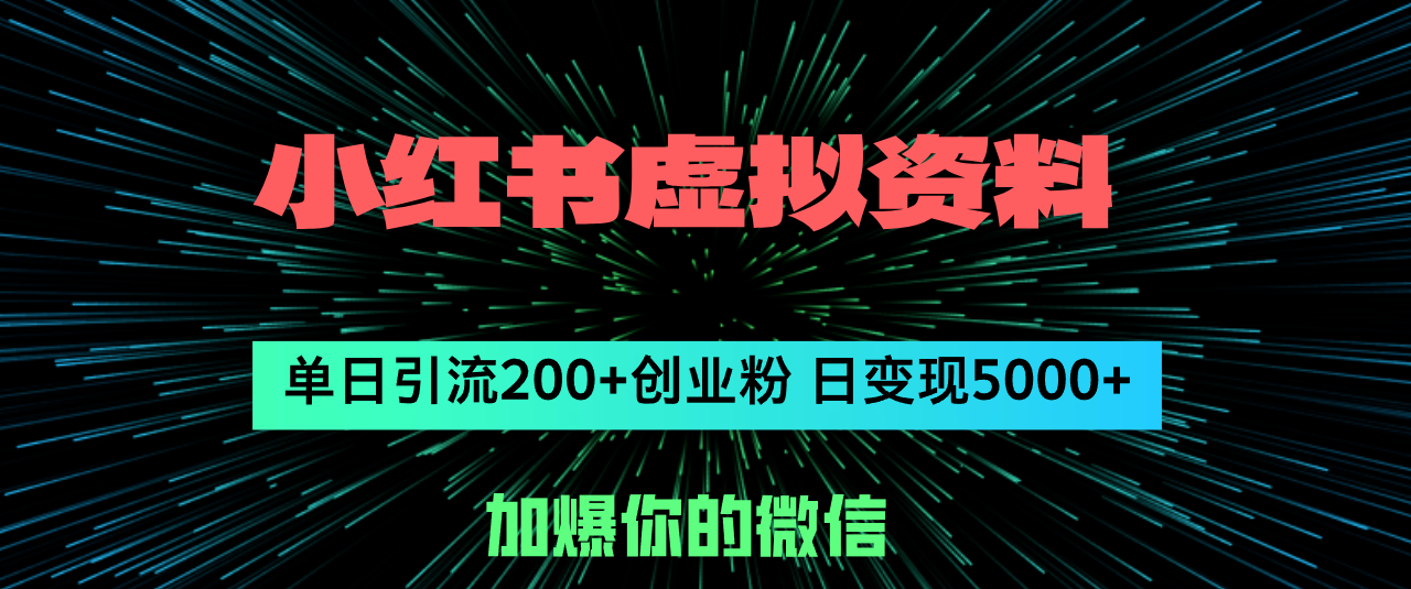 （12164期）小红书虚拟资料日引流200+创业粉，单日变现5000+，大佬商机网