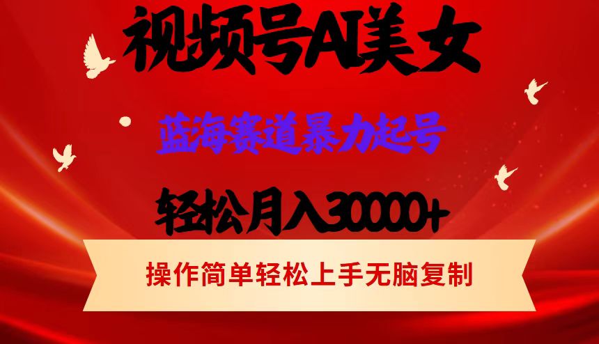 （12178期）视频号AI美女跳舞，轻松月入30000+，蓝海赛道，流量池巨大，起号猛，当…，大佬商机网