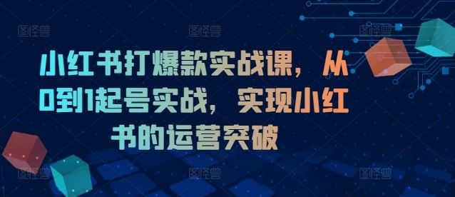 小红书打爆款实战课，从0到1起号实战，实现小红书的运营突破，大佬商机网