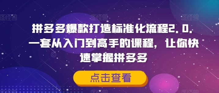 拼多多爆款打造标准化流程2.0，一套从入门到高手的课程，让你快速掌握拼多多，大佬商机网