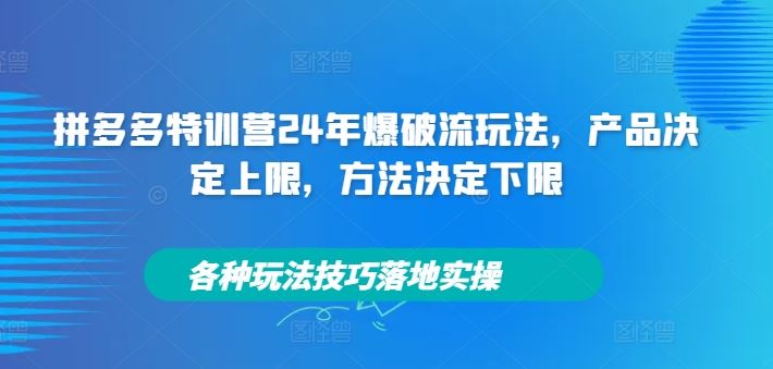 拼多多特训营24年爆破流玩法，产品决定上限，方法决定下限，各种玩法技巧落地实操，大佬商机网