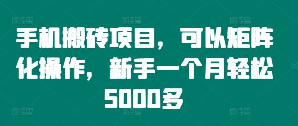 手机搬砖项目，可以矩阵化操作，新手一个月轻松5000多，大佬商机网