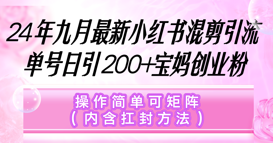 （12530期）小红书混剪引流，单号日引200+宝妈创业粉，操作简单可矩阵（内含扛封…，大佬商机网