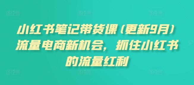 小红书笔记带货课(更新9月)流量电商新机会，抓住小红书的流量红利，大佬商机网