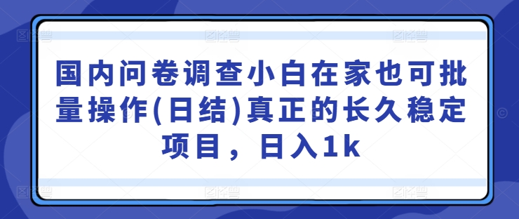 国内问卷调查小白在家也可批量操作(日结)真正的长久稳定项目，日入1k【揭秘】，大佬商机网