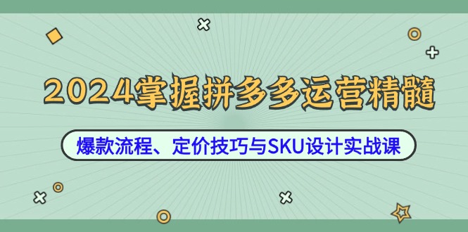 2024掌握拼多多运营精髓：爆款流程、定价技巧与SKU设计实战课，大佬商机网