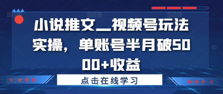 小说推文—视频号玩法实操，单账号半月破5000+收益，大佬商机网