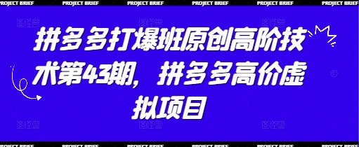 拼多多打爆班原创高阶技术第43期，拼多多高价虚拟项目大佬商机网-专注分享网络创业落地实操项目 – 全网首发_大佬永远不会提到的创业项目网站大佬商机网
